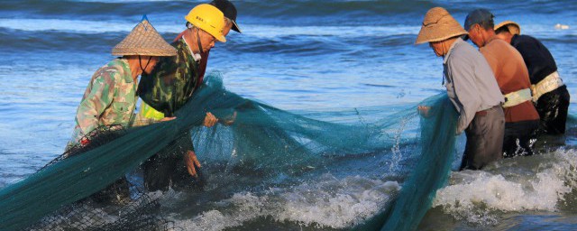 鮰魚和鯰魚有什麼區別 鮰魚和鯰魚有區別嗎