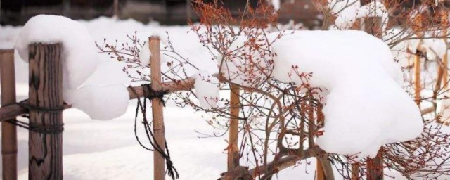 大雪的民俗活動 大雪時節有如下民俗活動