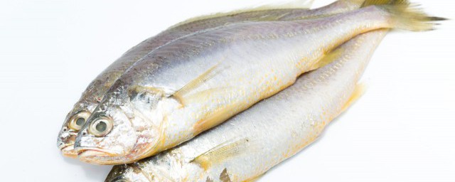 夢到死魚是怎麼回事 夢到死魚好不好