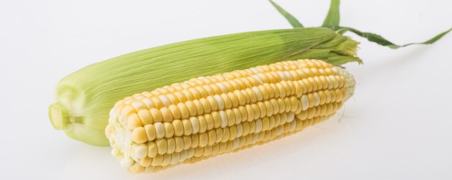 夢到玉米是什麼意思 夢到玉米的含義