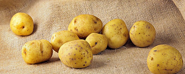 春天怎麼保存土豆不發芽 土豆保鮮方法分享