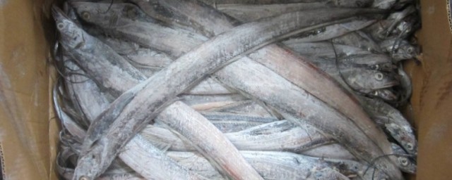 速凍帶魚怎麼處理 速凍帶魚如何處理