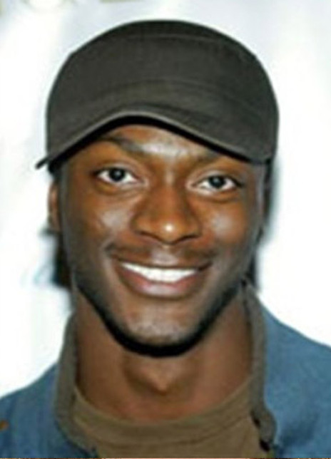 阿爾迪斯·霍吉 Aldis Hodge 