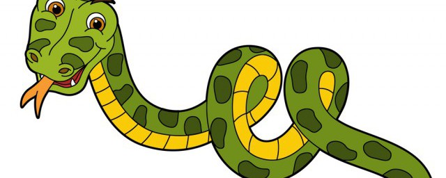 吃蛇有什麼好處和壞處 吃蛇的功效和禁忌