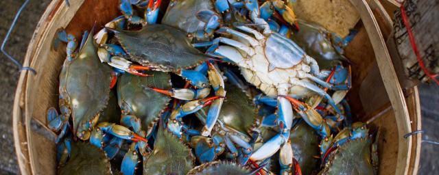 青蟹什麼季節吃最好 螃蟹的營養價值