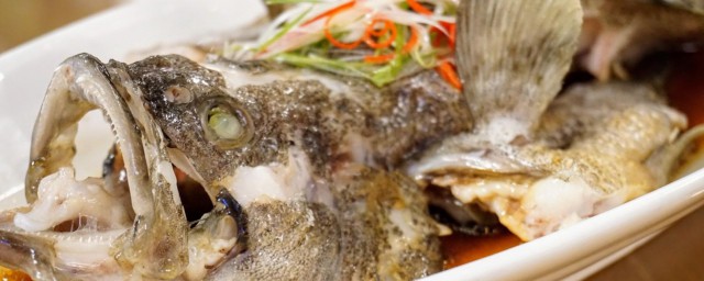 清蒸石斑魚的傢常做法 如何做清蒸石斑魚