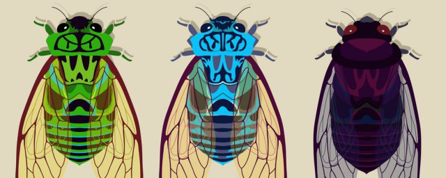 昆蟲記中蟬的特點 昆蟲記中蟬的特點是什麼