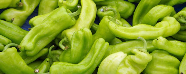 青椒可以怎麼吃呢 青椒如何做好吃