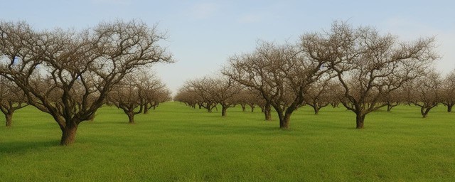 桑田沧海历史典故