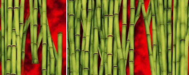 青竹丹枫历史典故