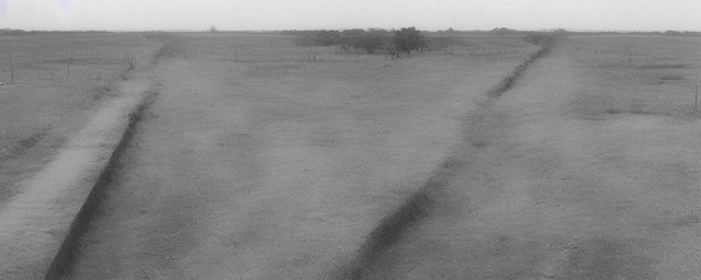 面北眉南历史典故