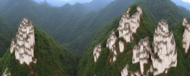霍山黄芽的历史渊源