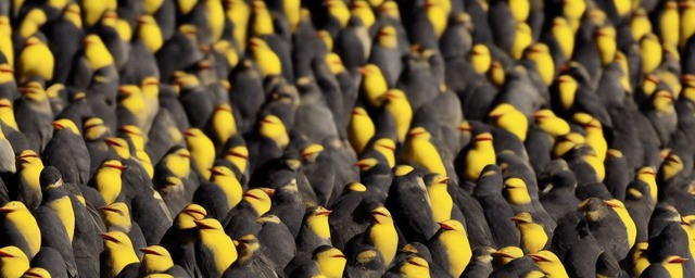 百喙如一历史典故