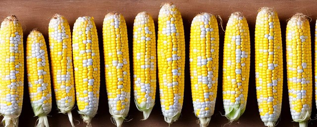 玉米做菜有哪些做法