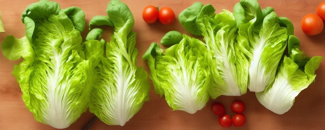 生菜的做法大全家常菜