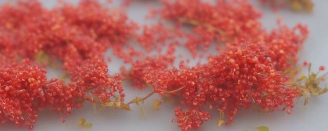 山楂糖葫芦的做法