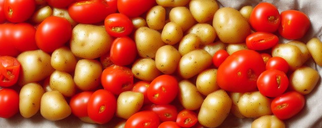 土豆和西红柿的做法