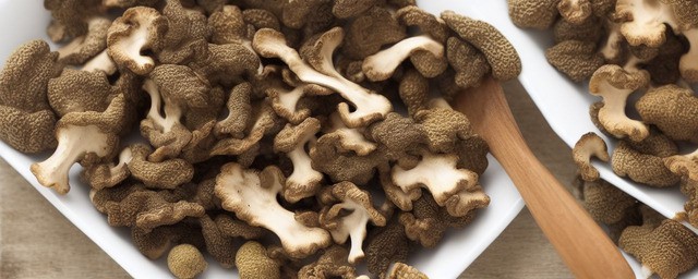 羊肚菌如何吃与做法大全