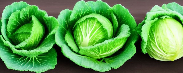 如何区分甘蓝和包菜