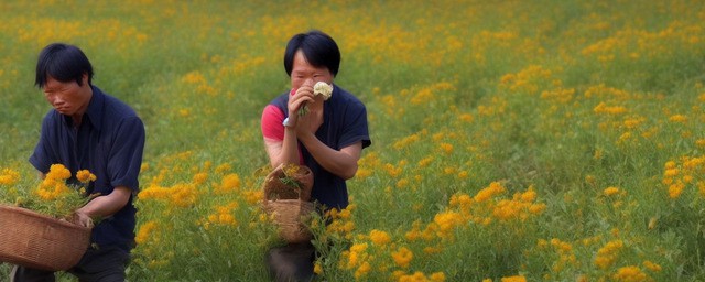 古代第一采花大盗桑冲介绍桑冲的结局是什么