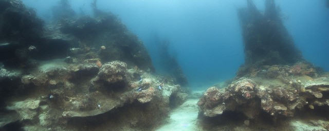 水底纳瓜历史典故
