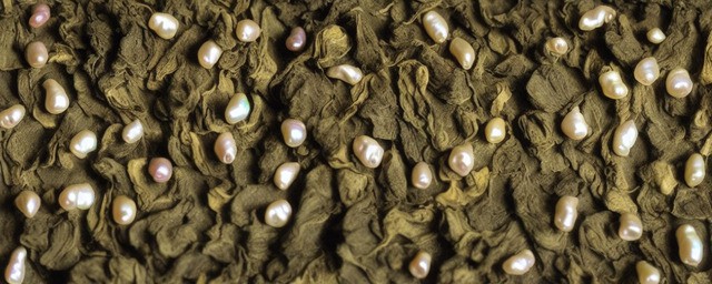 平水珠茶的历史渊源