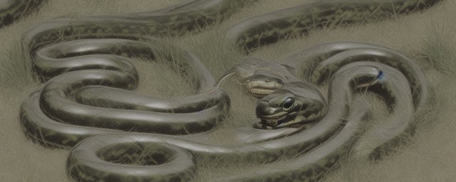 草蛇灰线历史典故