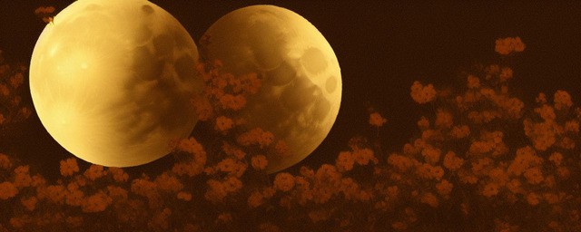 花朝月夜历史典故