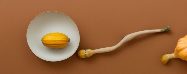 照葫芦画瓢的意思