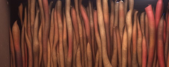 侗族大琵琶的介绍