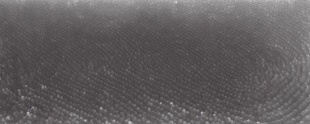 一字长蛇阵历史典故