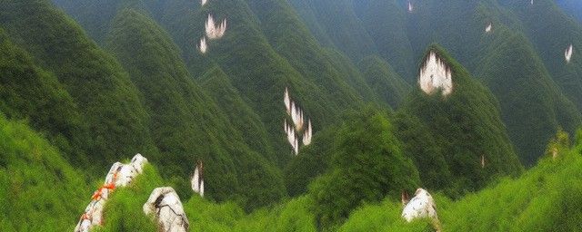 四川青城山介绍