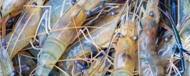 羅氏淡水蝦怎麼做 羅氏淡水蝦的做法