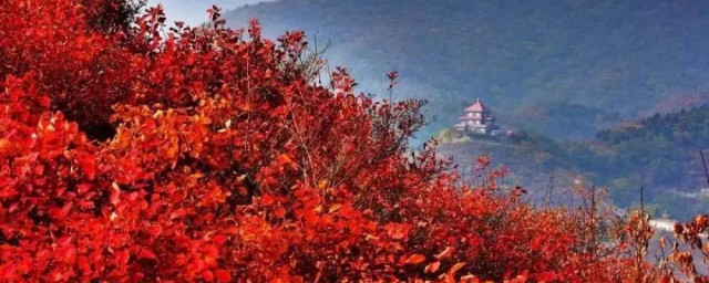 以紅葉著名的香山位於哪座城市 以紅葉著名的香山地理位置
