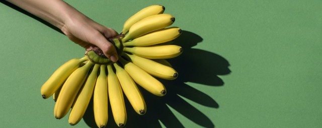 矮香蕉的種植方法 矮香蕉怎麼種植