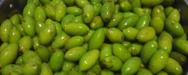 橄欖的醃制方法 橄欖的醃制方法介紹