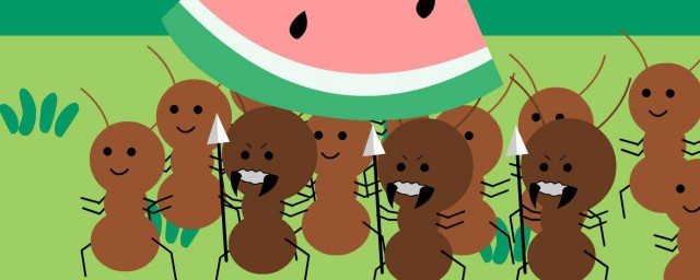 白蟻如何防治 白蟻產生的原因