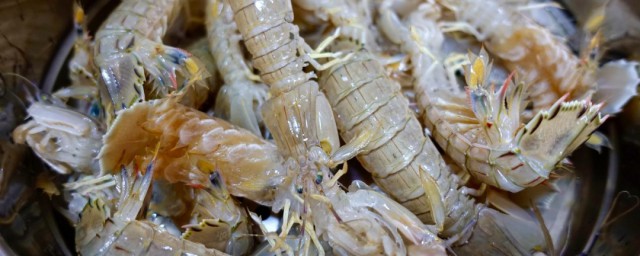 皮皮蝦水煮方法 煮蝦的方法介紹