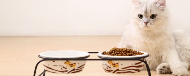 怎麼做無菌貓食 做貓食的方法