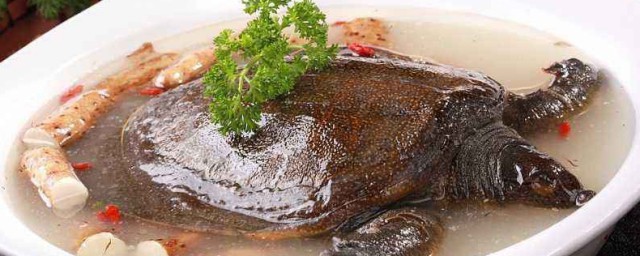 豬肉燉甲魚方法 豬肉燉甲魚方法分享