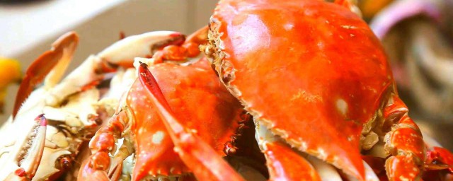 蟹怎麼吃正確 如何正確吃螃蟹