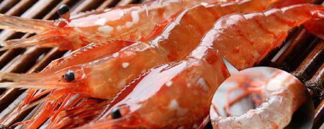 牡丹蝦培育方法 怎麼培育蝦