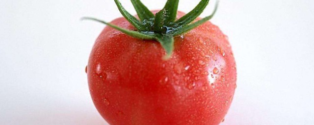 西紅柿怎麼保存好吃 西紅柿怎麼存放比較好