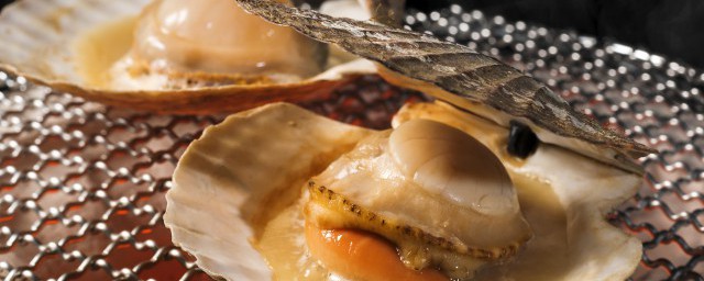 貝殼肉怎麼做好吃 貝殼肉做法