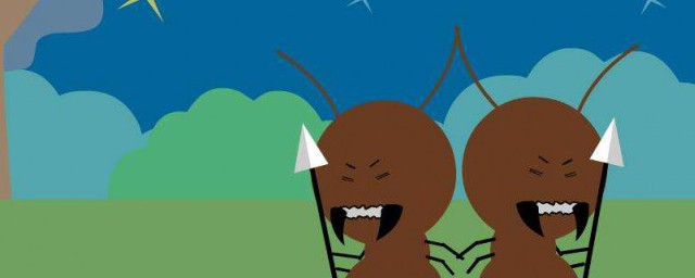 螞蟻是益蟲還是害蟲 螞蟻是益蟲還是害蟲的分析