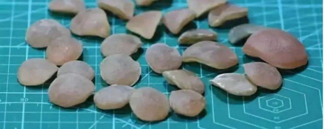 青魚石怎麼處理 青魚石處理的方法