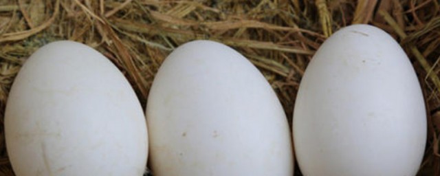 懷孕夢見鵝蛋是啥意思 懷孕夢見鵝蛋有什麼寓意