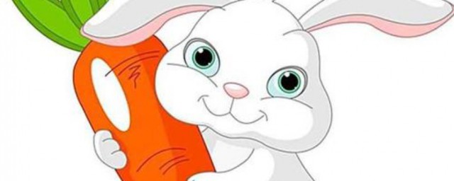 小兔子故事簡短 小兔子的小故事