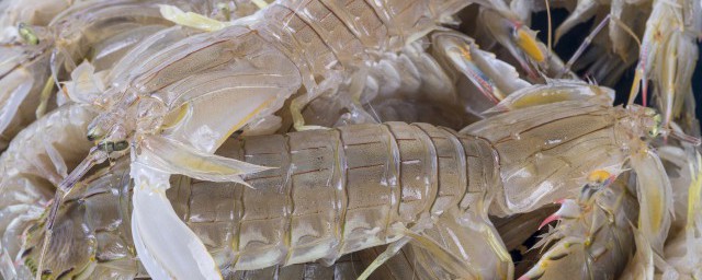 大河蝦如何做 大河蝦如何做好吃
