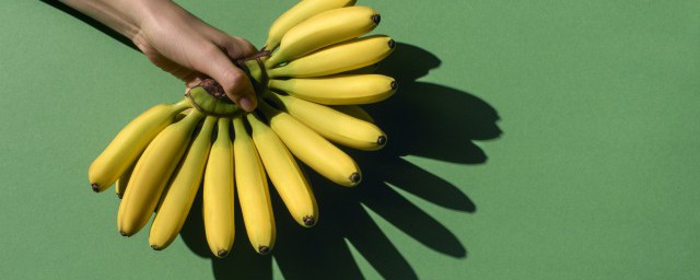 香蕉種植方法簡單 香蕉種植方法簡單推薦